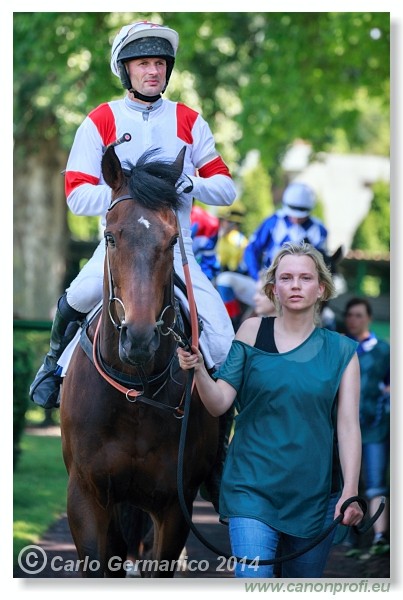 Bratislava - 25. m�ja 2014 