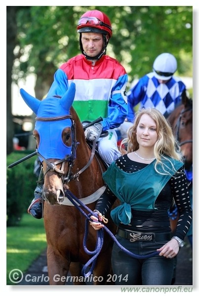 Bratislava - 25. m�ja 2014 