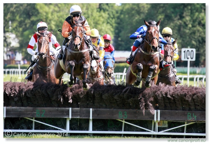 Bratislava - 25. m�ja 2014 