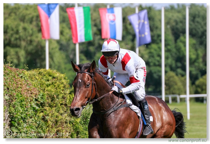 Bratislava - 25. m�ja 2014 