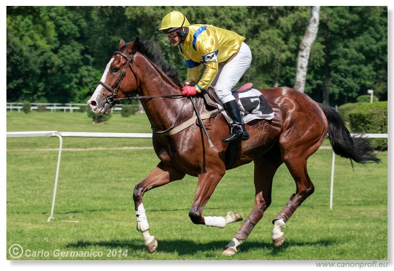 Bratislava - 25. m�ja 2014 