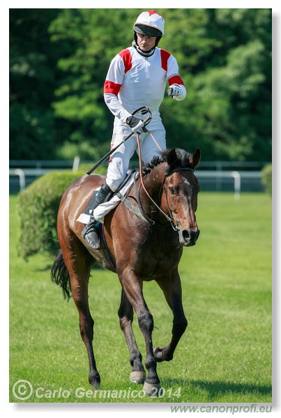 Bratislava - 25. m�ja 2014 