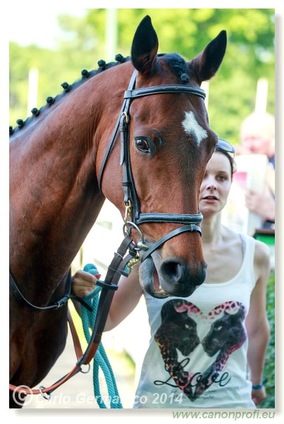 Bratislava - 25. m�ja 2014 