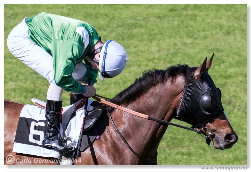 Bratislava - 25. m�ja 2014 