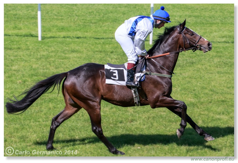 Bratislava - 25. m�ja 2014 