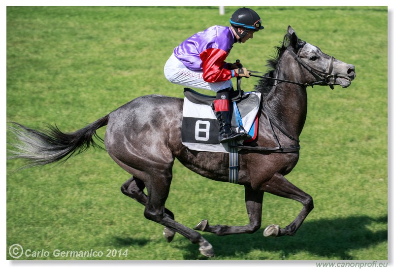 Bratislava - 25. m�ja 2014 