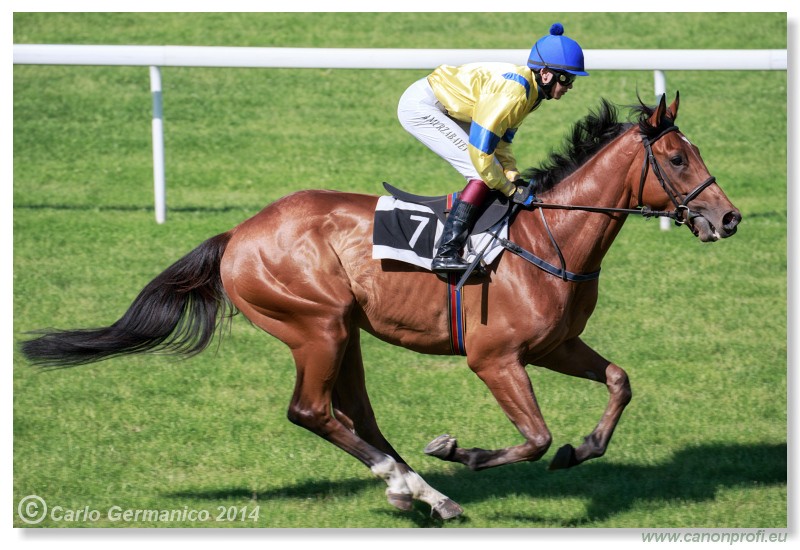 Bratislava - 25. m�ja 2014 