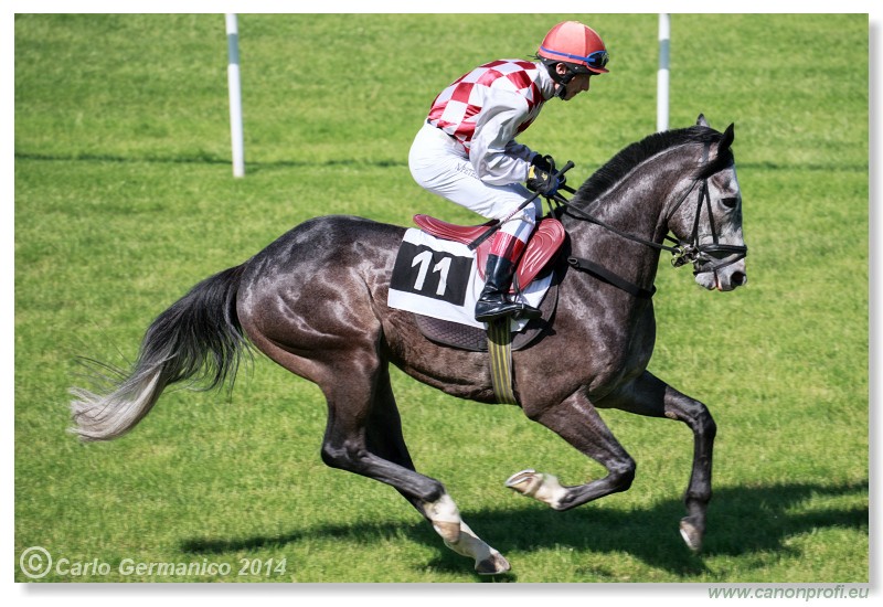 Bratislava - 25. m�ja 2014 