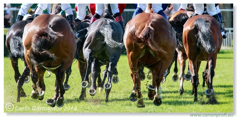 Bratislava - 25. m�ja 2014 