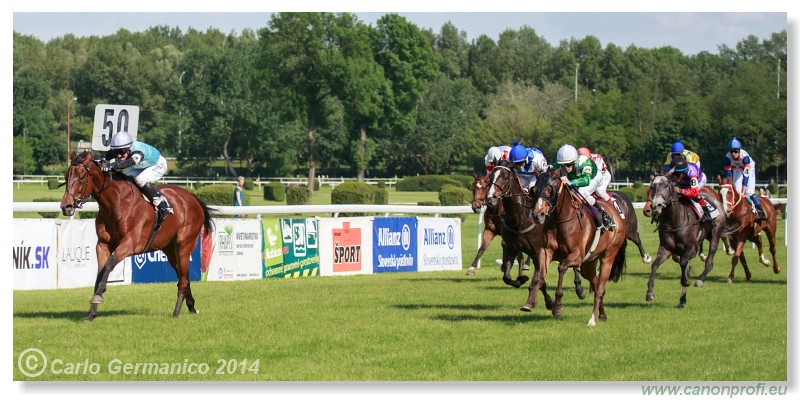 Bratislava - 25. m�ja 2014 