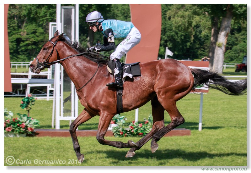 Bratislava - 25. m�ja 2014 