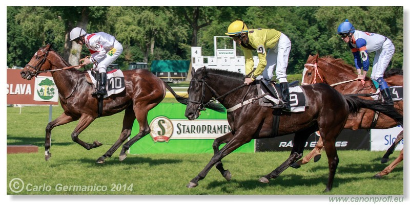 Bratislava - 25. m�ja 2014 