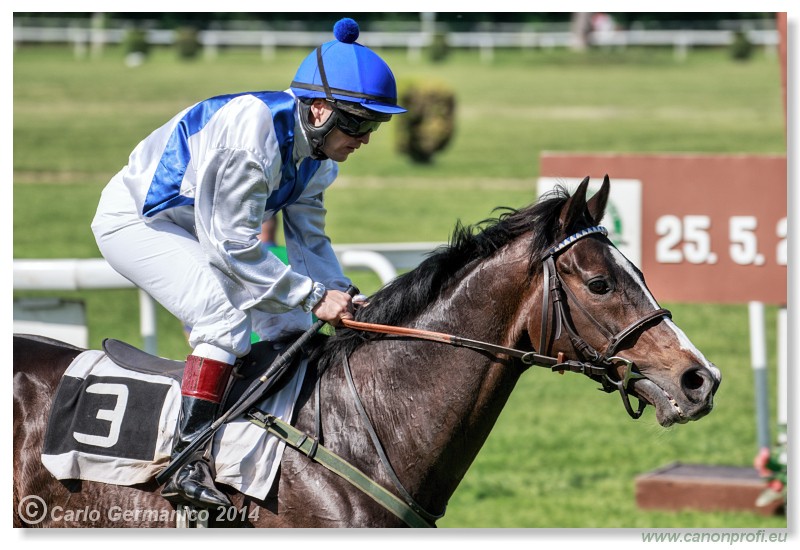 Bratislava - 25. m�ja 2014 