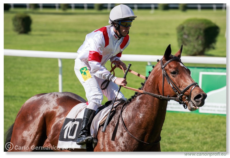 Bratislava - 25. m�ja 2014 