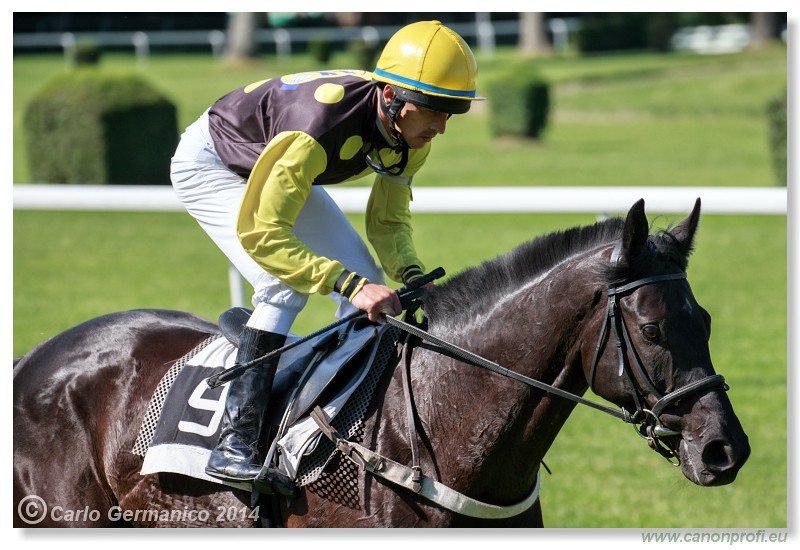 Bratislava - 25. m�ja 2014 