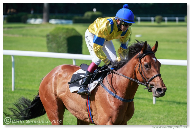 Bratislava - 25. m�ja 2014 