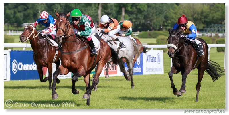 Bratislava - 25. mja 2014 
