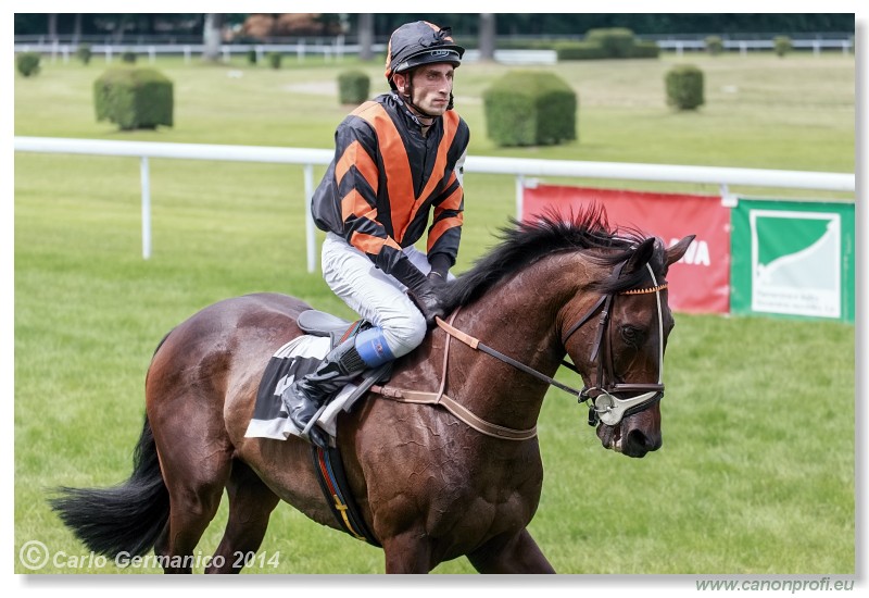 Bratislava - 28. j�na 2014 