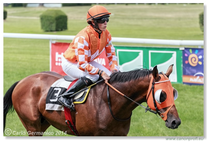 Bratislava - 28. j�na 2014 