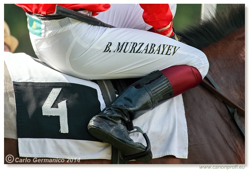 Bratislava - 28. j�na 2014 