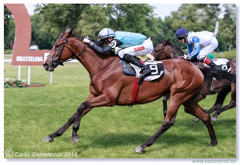 Bratislava - 28. j�na 2014 