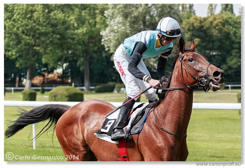 Bratislava - 28. j�na 2014 