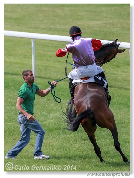 Bratislava - 28. j�na 2014 