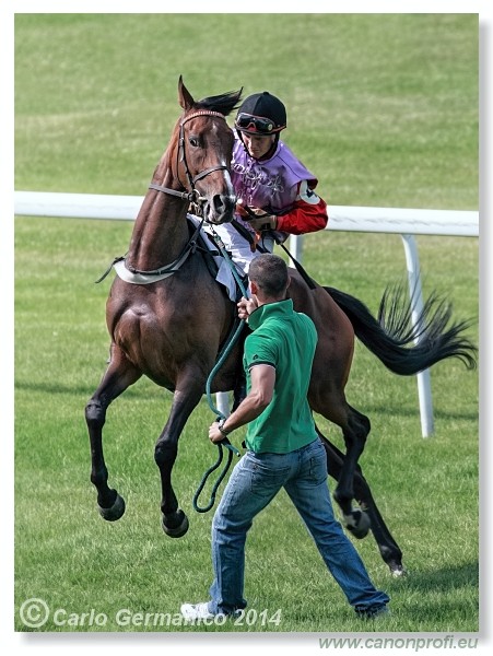 Bratislava - 28. j�na 2014 