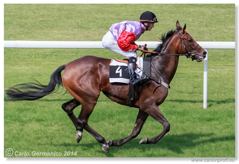 Bratislava - 28. j�na 2014 