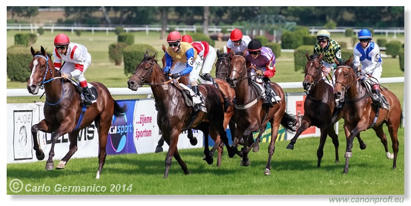 Bratislava - 28. j�na 2014 