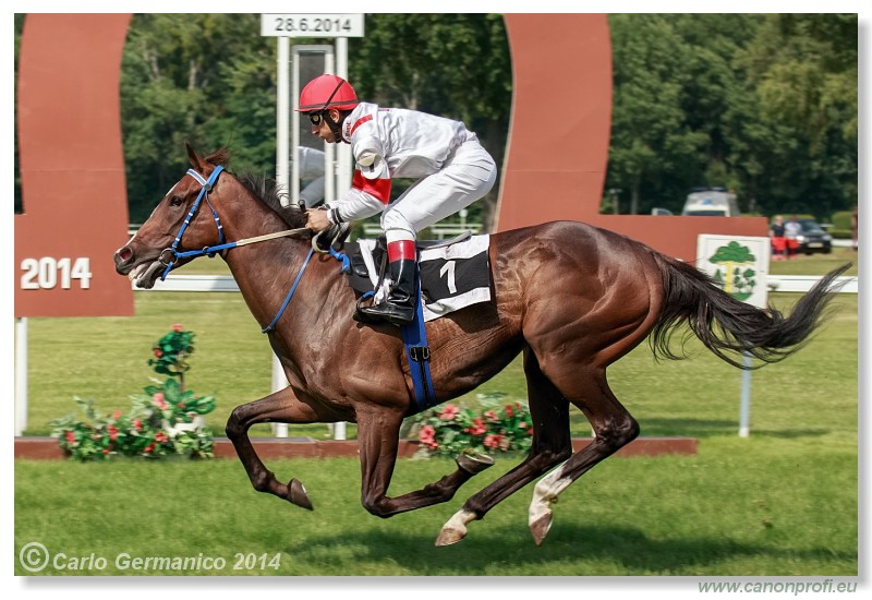 Bratislava - 28. j�na 2014 