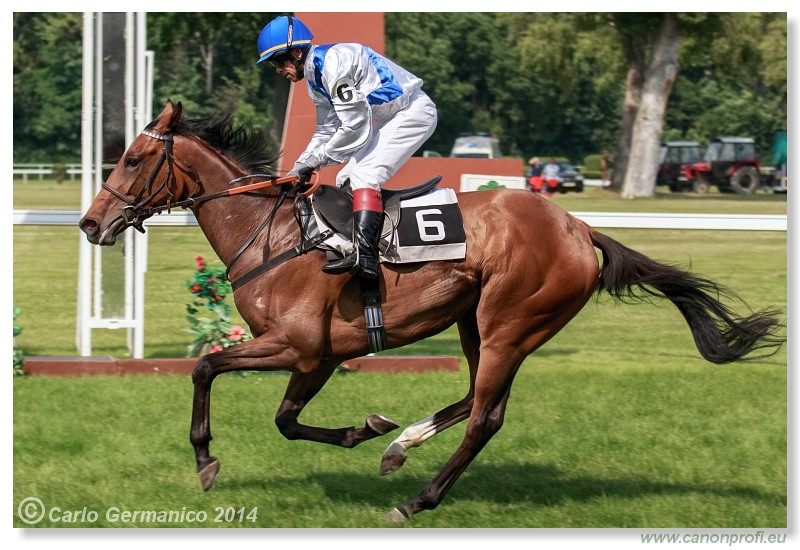 Bratislava - 28. j�na 2014 