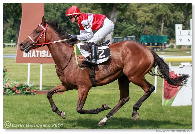 Bratislava - 28. j�na 2014 