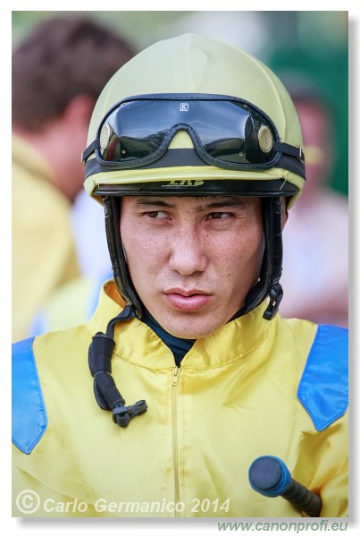 Bratislava - 28. j�na 2014 