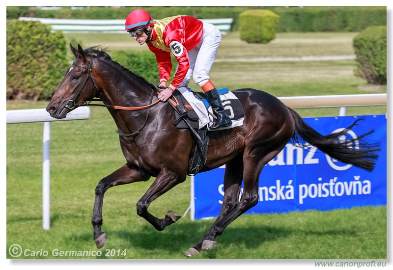 Bratislava - 28. j�na 2014 