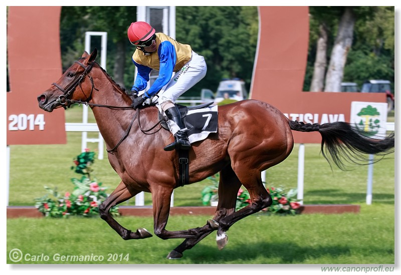 Bratislava - 28. j�na 2014 