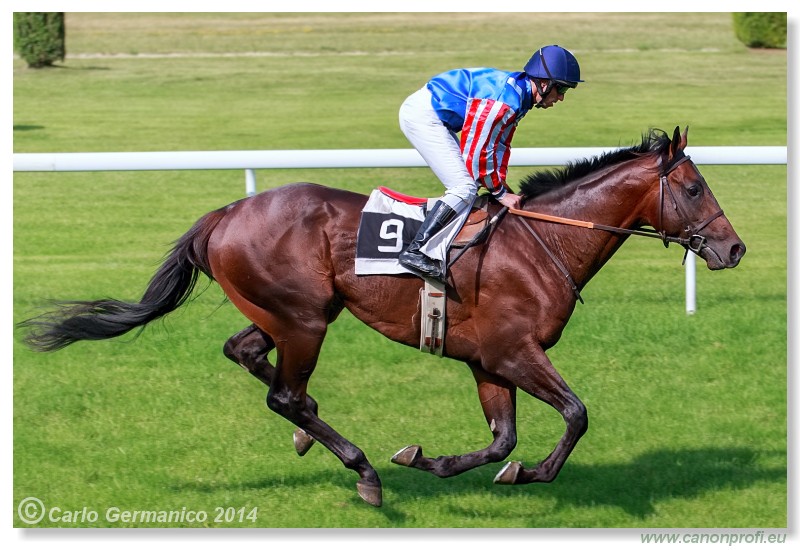 Bratislava - 28. j�na 2014 