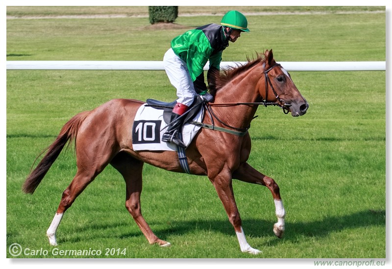 Bratislava - 28. j�na 2014 