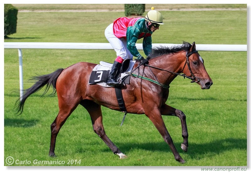 Bratislava - 28. j�na 2014 