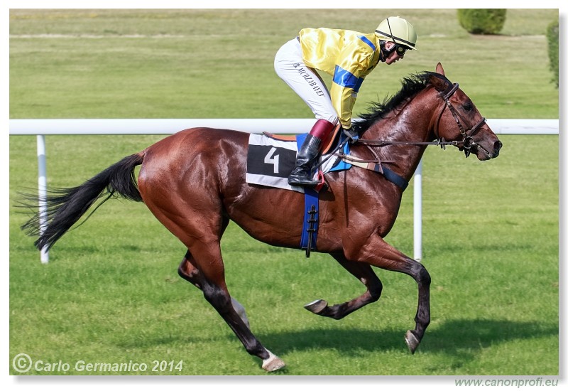 Bratislava - 28. j�na 2014 