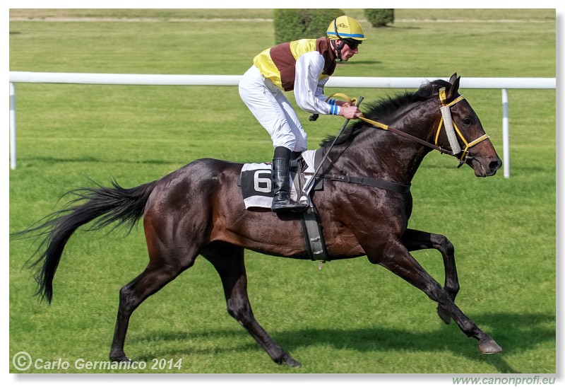 Bratislava - 28. j�na 2014 