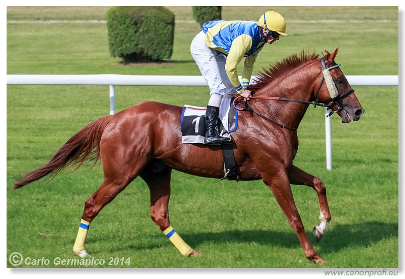 Bratislava - 28. j�na 2014 