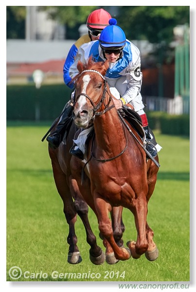 Bratislava - 28. j�na 2014 