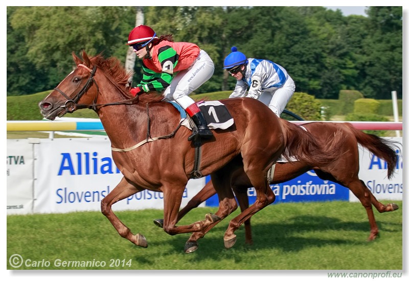 Bratislava - 28. j�na 2014 