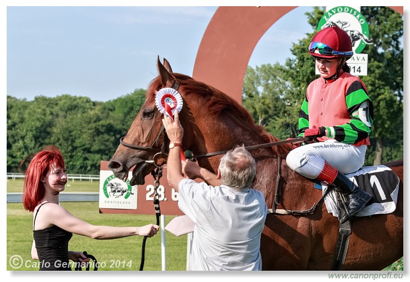 Bratislava - 28. j�na 2014 