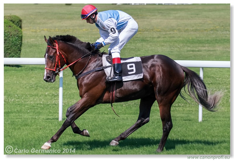 Bratislava - 20. j�la 2014 