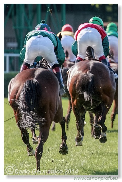 Bratislava - 20. j�la 2014 