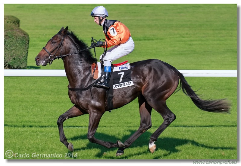 Bratislava - 20. septembra 2014 