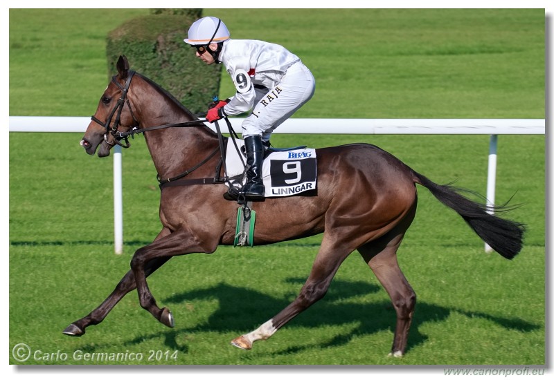 Bratislava - 20. septembra 2014 