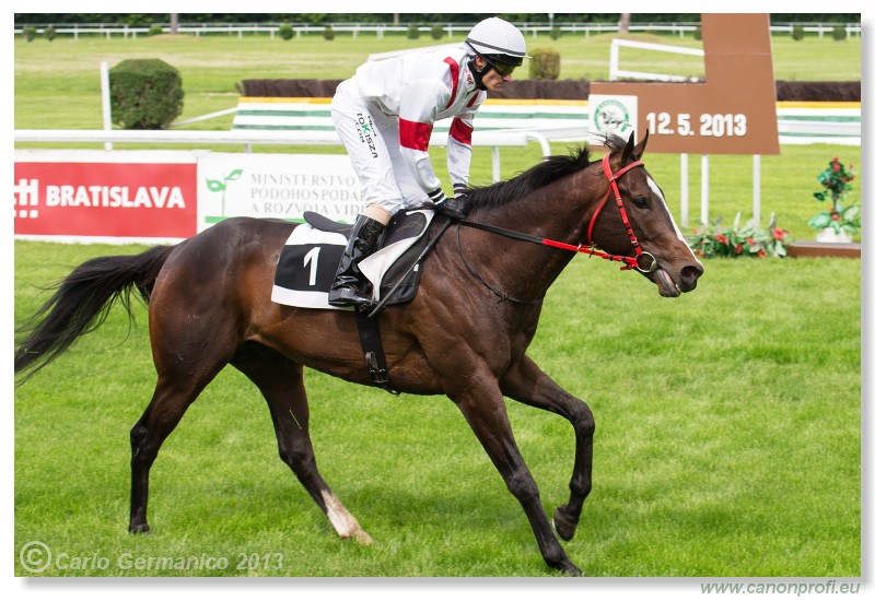 Bratislava - 12. m�j 2013 